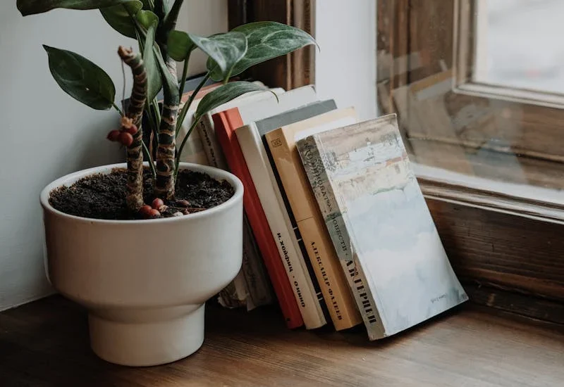 Fotografía de libros en una ventana